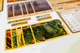 Dodatek do gry Portal Games Spirit Island: pióra i płomienie (5905794221264) - obraz 3