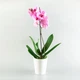 Горшок для цветов DH-FLOWERS-29 WHITE - изображение 2