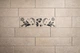 Плитка с гравировкой Brickland Symbol Tile 06 - изображение 4