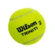 Мяч для большого тенниса WILSON TRINITI WRT125200 3шт салатовый - изображение 3