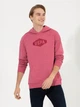 Худи мужское U.S. Polo Assn G081SZ082-000-1455292 XL Красное (8682733970496) - изображение 5