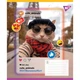 Зошит Yes Cute animals А5 24 аркушів лінія (767730) - зображення 2