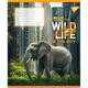 Зошит Yes The wild in the city А5 96 аркушів лінія (767773) - зображення 2