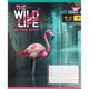 Зошит Yes The wild in the city А5 96 аркушів лінія (767773) - зображення 6