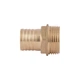 Thermo Alliance Штуцер 1"Нх25 (желт.) под шланг SD4272525 - изображение 4