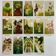Карты таро Белого Божества, уменьшенная (White Numen Tarot) - изображение 7