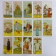 Карты Таро До того (Before Tarot) - изображение 9