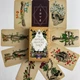 Таро Античной Анатомии, уменьшенная (Antique Anatomy Tarot) - изображение 1