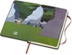 Записная книга Moleskine Looney Tunes 9 х 14 см 192 страницы в линейку Тасманский дьявол (8058647621098) - изображение 3