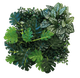 Задній фон для тераріуму REPTO PLANT BACK WALL MAT 25X25 CM 1 (R5100015) - зображення 2