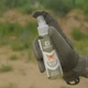 Спрей от насекомых BaseCamp DEET 50, 100 мл (BCP 30101) - изображение 4