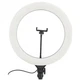 Профессиональная светодиодная кольцевая лампа Ring Light A390 39см 40Вт + пульт управления + штатив 2 метра - изображение 2