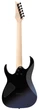 Електрогітара IBANEZ RG421DX-TWS (302360) - изображение 2