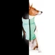 Курточка для животных Airy Vest Lumi двусторонняя L 55 мятно-оранжевая (2293) Airy Vest 2293 923930 - изображение 6