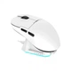 Мишка Ajazz AJ159P MC Wireless/Bluetooth/USB Charging Dock White (AJ159P-MC-W) Ajazz AJ159P-MC-W 912688 - зображення 1