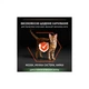 Сухий корм для кішок Purina Pro Plan Sterilised з лососем 3 кг (7613036517454) Purina Pro Plan 7613036517454 899486 - зображення 5