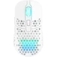 Мышь беспроводная Xtrfy M42, WL/USB-A, RGB, белая - изображение 1