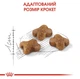 Сухой корм Royal Canin Kitten для котят от 4 до 12 месяцев 400 г (НФ-00000851) - изображение 4