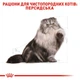 Сухой корм для взрослых кошек Royal Canin Persian Adult 2 кг - изображение 3