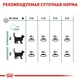 Сухой корм Royal Canin HAIRBALL CARE для взрослых кошек, профилактика образования волосяных комочков 2 кг - изображение 5