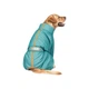 Комбінезон для тварин Pet Fashion «Cold» для такс XS (бірюзовий) (4823082425365) Pet Fashion 4823082425365 883493 - зображення 2