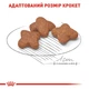 Сухой корм для взрослых собак мелких пород Royal Canin Mini Adult 8+ старше 8 лет 800 г - изображение 3