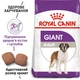 Сухой корм для взрослых собак Royal Canin Giant Adult гигантских пород старше 2 лет 15 кг - изображение 2