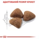 Сухой корм для домашних кошек Royal Canin Indoor 2 кг - изображение 4
