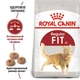 Сухой корм Royal Canin FIT для взрослых кошек 4 кг - изображение 1