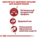 Сухой корм Royal Canin FIT для взрослых кошек 4 кг - изображение 3