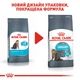 Сухой корм для кошек Royal Canin Urinary Care 2 кг - изображение 4