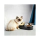 Универсальная посуда для животных Petkit FRESH NANO-METAL Pet Cat TWO Bowl Stand (P5201) Petkit P5201 901880 - изображение 3