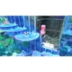Игра Nintendo Kirby Forgotten Land, картридж (Switch 2) (0045496312930) Nintendo 0045496312930 914024 - изображение 4