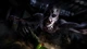 Ключ активації Dying Light Collection для Xbox One/Series S/X - зображення 10