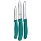 Набір ножів Victorinox Swiss Classic Paring Set 3 шт. 6.7114.34C1 - зображення 1