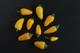 Перец острый Jalapeno Numex Lemon семена (5 шт) желтый Халапеньйо до 8 000 SHU - изображение 4
