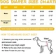 Багаторазовий підгузок для сук Dog Ladies Diapers 02, M - зображення 5
