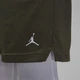 Шорты мужские Jordan Sportdri-Fit Mesh M Оливковий FN5816-222 - изображение 5
