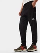 Брюки унисекс The North Face Nse Pant REGS Чорний 0A4SVQJK31 - изображение 1