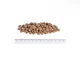 Сухой беззерновой корм Brit Grain Free Veterinary Diet Struvite Cat для котов 2 кг - изображение 2