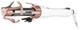Випрямляч волосся Sencor SHS 0900GD (6638074) - зображення 3