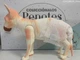 Іспанська вінілова лялька DESTOYS Sphynx 30 см - зображення 5