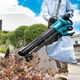 Мешок для садового воздуходува-пылесоса Makita DUB187 (GB00000185) - изображение 3