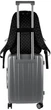 Рюкзак GoPack Education Teens 44x28.5x13.5 см 15 л (GO26-130L-3) - изображение 13