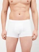 Набор трусов боксеров мужских хлопковых Trendyol TMNAW21BX0018 L 5 шт Multicolor (8683049668077) - изображение 5