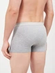 Набор трусов боксеров мужских хлопковых Trendyol TMNAW21BX0018 L 5 шт Multicolor (8683049668077) - изображение 6