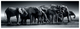 Пазл панорама CLEMENTONI: HIGH QUALITY COLLECTION — СТАДО ГИГАНТОВ/HERD OF GIANTS (1000 элементов) 39895 - изображение 2