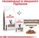 Сухой корм для взрослых котов при нарушениях пищеварения Royal Canin Veterinary Expert GastroIntestinal Fibre Response 400 г (3182550771320) (400700491) - изображение 9