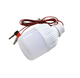 Світлодіодна кемпінгова LED лампа 12V 5W із зажимами - зображення 1