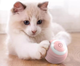 Автоматическая игрушка-мяч для котов Smart Cat Ball — Розовая пудра: Нежная забота и активные игры - изображение 6